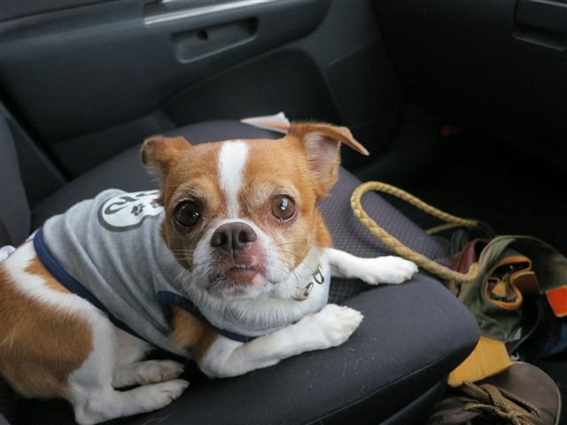 f:id:yasukazu01:20121006115636j:image f:id:yasukazu01:20121006115636j:image