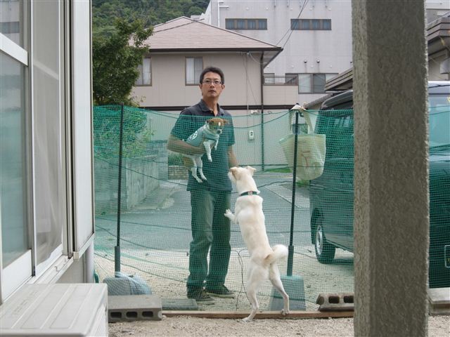 f:id:yasukazu01:20121006120711j:image f:id:yasukazu01:20121006120711j:image