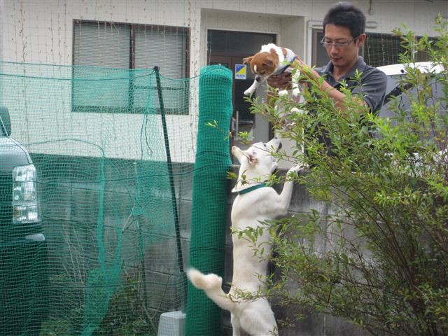 f:id:yasukazu01:20121006120724j:image f:id:yasukazu01:20121006120724j:image