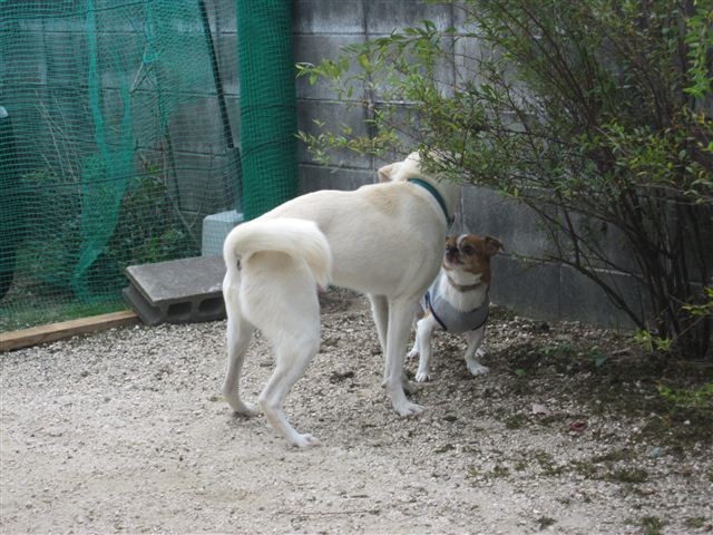 f:id:yasukazu01:20121006120731j:image f:id:yasukazu01:20121006120731j:image