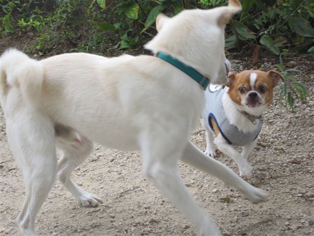 f:id:yasukazu01:20121006120742j:image f:id:yasukazu01:20121006120742j:image