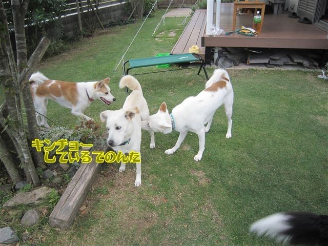 f:id:yasukazu01:20121008161152j:image f:id:yasukazu01:20121008161152j:image