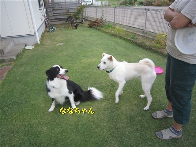 f:id:yasukazu01:20121008161428j:image f:id:yasukazu01:20121008161428j:image