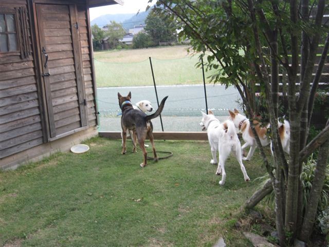 f:id:yasukazu01:20121008161548j:image f:id:yasukazu01:20121008161548j:image