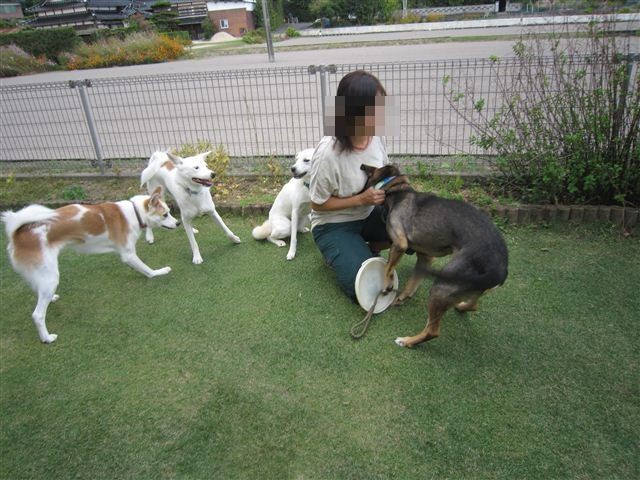 f:id:yasukazu01:20121008161827j:image f:id:yasukazu01:20121008161827j:image
