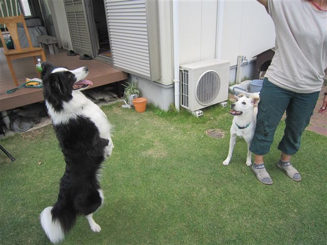 f:id:yasukazu01:20121008162345j:image f:id:yasukazu01:20121008162345j:image