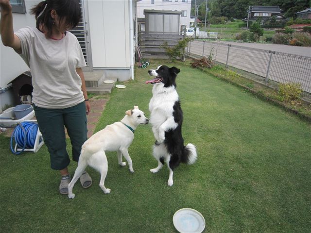 f:id:yasukazu01:20121008162402j:image f:id:yasukazu01:20121008162402j:image