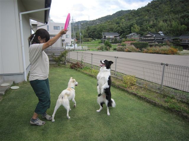 f:id:yasukazu01:20121008162414j:image f:id:yasukazu01:20121008162414j:image