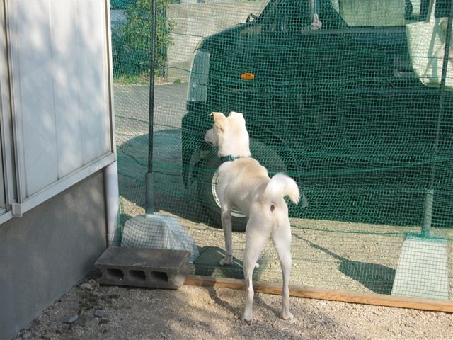 f:id:yasukazu01:20121021150214j:image f:id:yasukazu01:20121021150214j:image