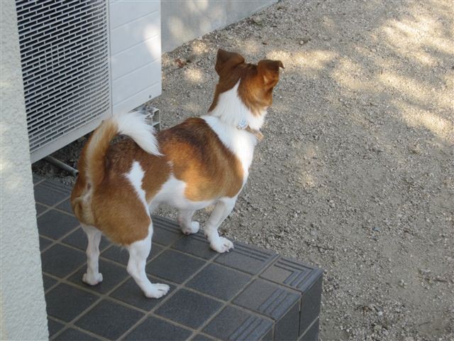 f:id:yasukazu01:20121021150221j:image f:id:yasukazu01:20121021150221j:image