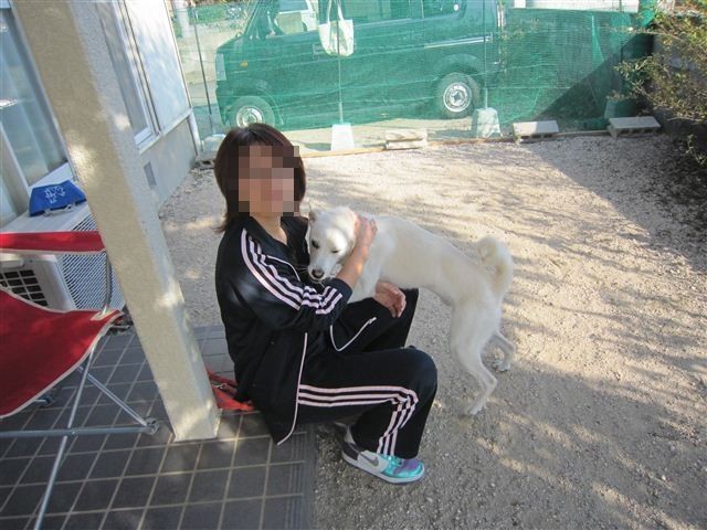 f:id:yasukazu01:20121021150432j:image f:id:yasukazu01:20121021150432j:image