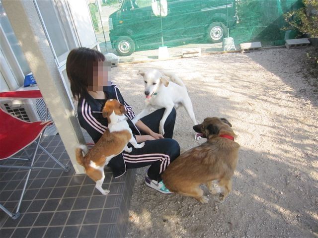 f:id:yasukazu01:20121021150506j:image f:id:yasukazu01:20121021150506j:image