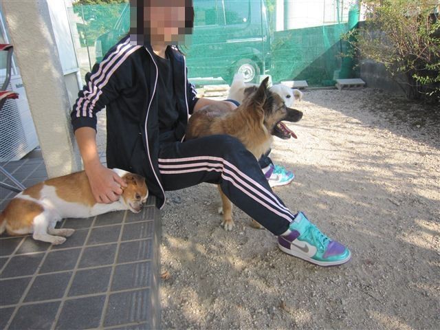 f:id:yasukazu01:20121021150918j:image f:id:yasukazu01:20121021150918j:image