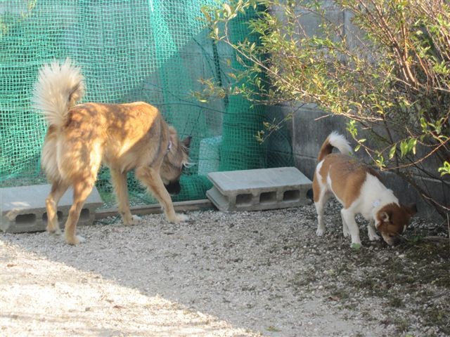 f:id:yasukazu01:20121021152358j:image f:id:yasukazu01:20121021152358j:image