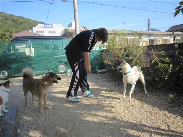 f:id:yasukazu01:20121021153050j:image f:id:yasukazu01:20121021153050j:image