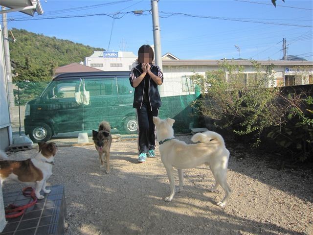 f:id:yasukazu01:20121021153101j:image f:id:yasukazu01:20121021153101j:image