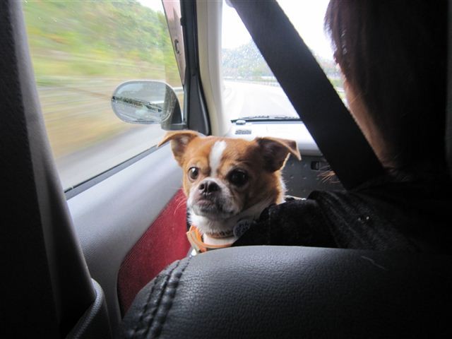 f:id:yasukazu01:20121031111740j:image