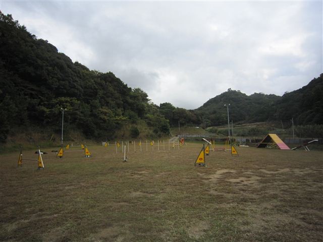 f:id:yasukazu01:20121031124425j:image