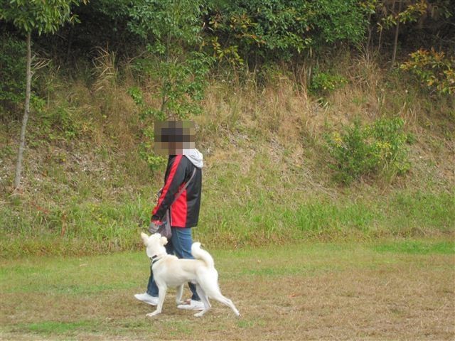 f:id:yasukazu01:20121031131652j:image