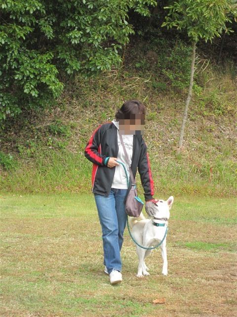 f:id:yasukazu01:20121031131703j:image