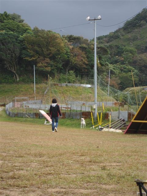 f:id:yasukazu01:20121031134807j:image
