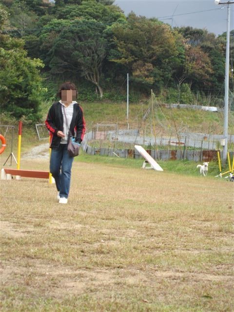 f:id:yasukazu01:20121031134901j:image