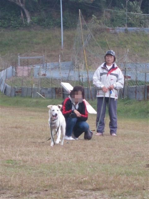 f:id:yasukazu01:20121031141135j:image