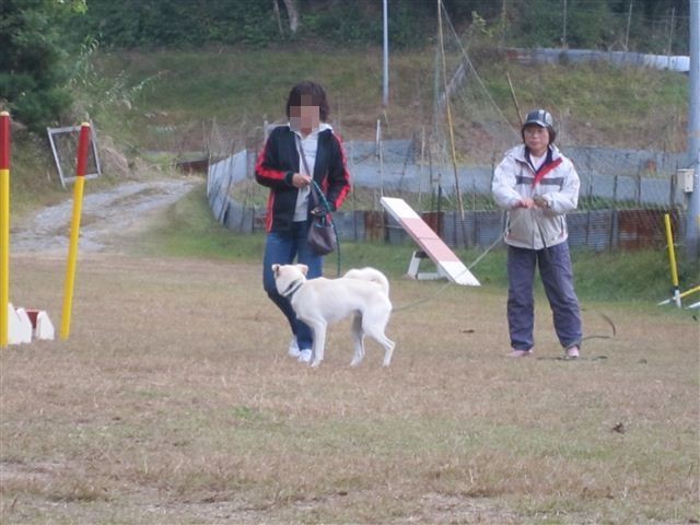 f:id:yasukazu01:20121031141350j:image