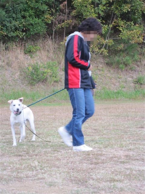 f:id:yasukazu01:20121031141413j:image