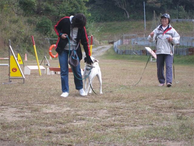 f:id:yasukazu01:20121031141500j:image