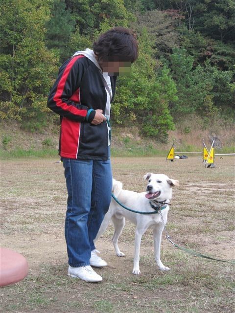f:id:yasukazu01:20121031141522j:image