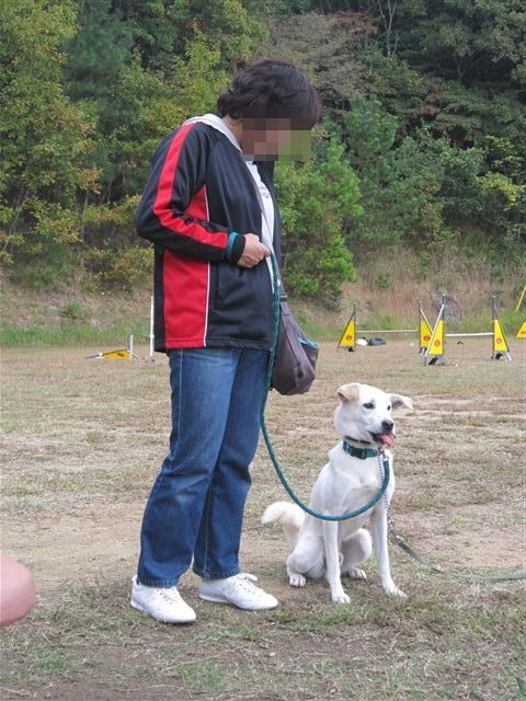 f:id:yasukazu01:20121031141539j:image