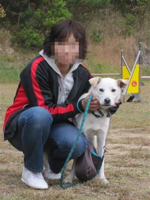 f:id:yasukazu01:20121031142423j:image