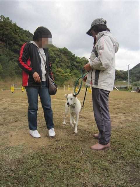 f:id:yasukazu01:20121031142641j:image