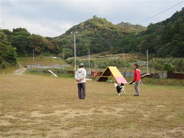 f:id:yasukazu01:20121031155030j:image