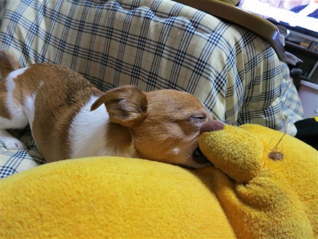 f:id:yasukazu01:20121101193035j:image