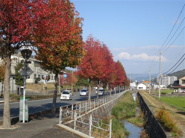 f:id:yasukazu01:20121103100148j:image