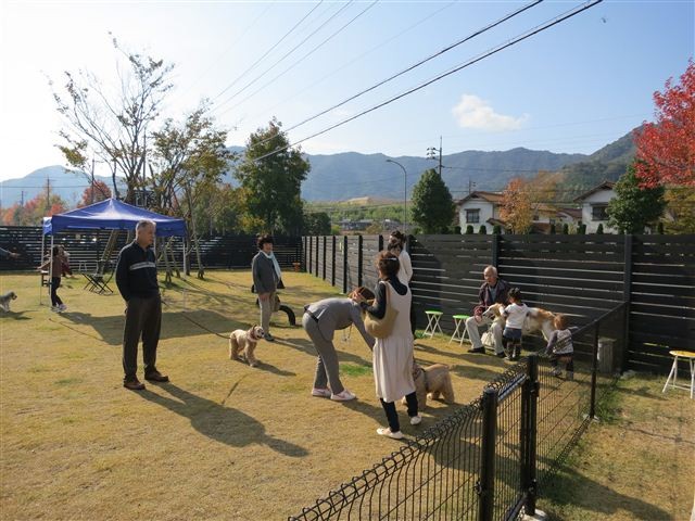 f:id:yasukazu01:20121103101846j:image