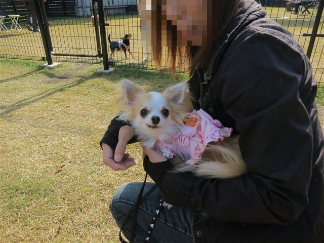 f:id:yasukazu01:20121103102443j:image