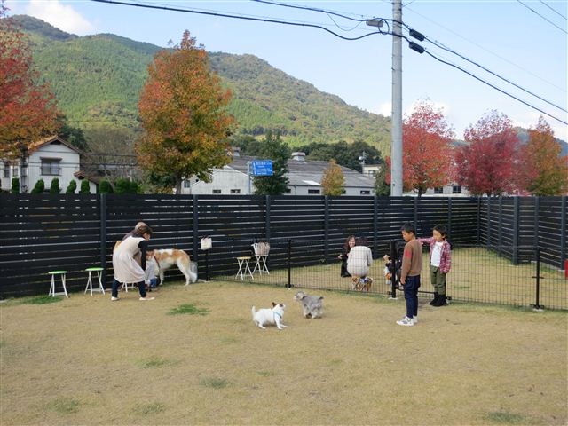 f:id:yasukazu01:20121103103811j:image