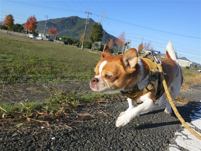 20121116081634