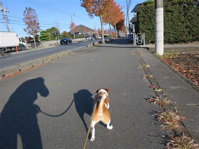 20121116082502