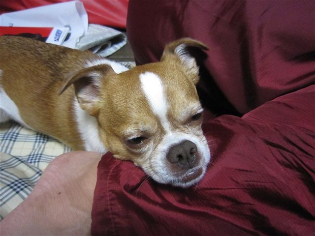 f:id:yasukazu01:20121126184401j:image