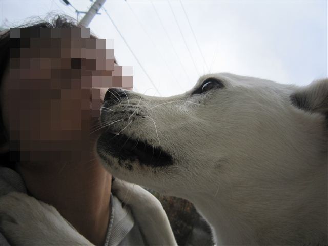 20121130130344