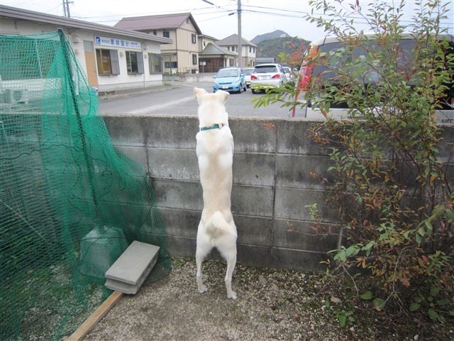 20121130130452