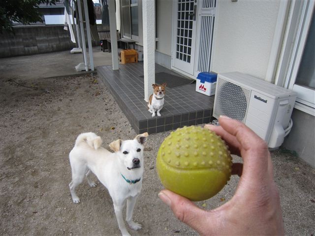 20121201124827