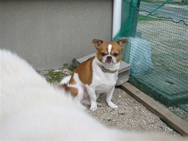 20121201124906