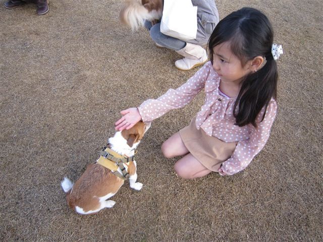 20121202162229