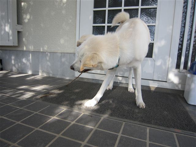 20121204123131