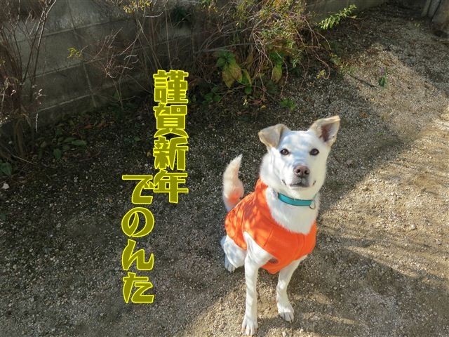 20121211101829